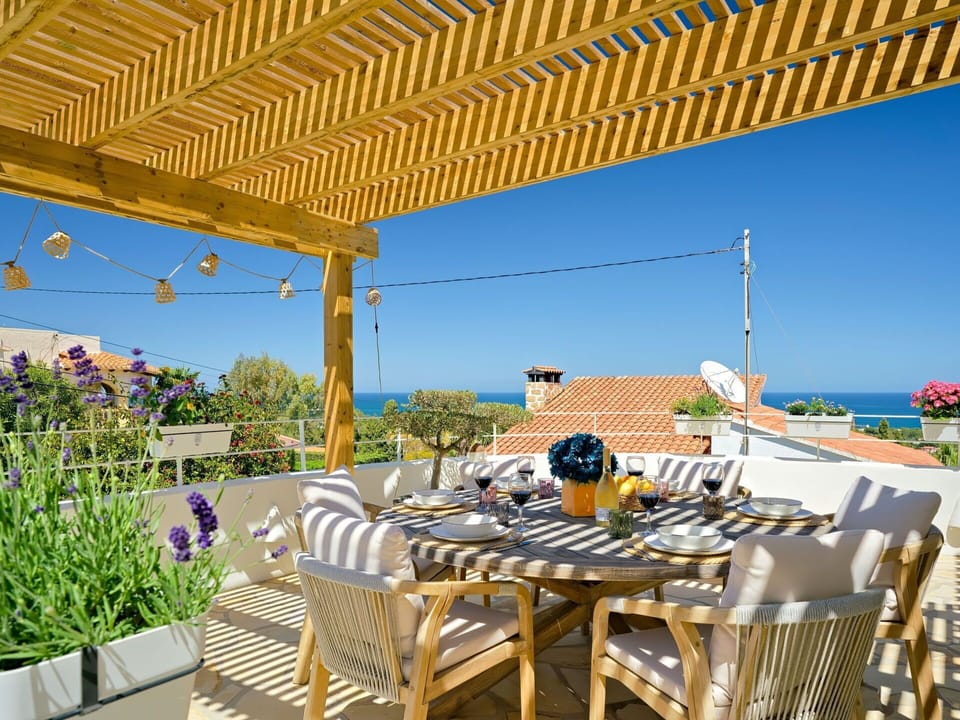 Plant, Table, Property, Furniture, Sky, Azure, Chair, Shade, Outdoor Furniture, Outdoor Table