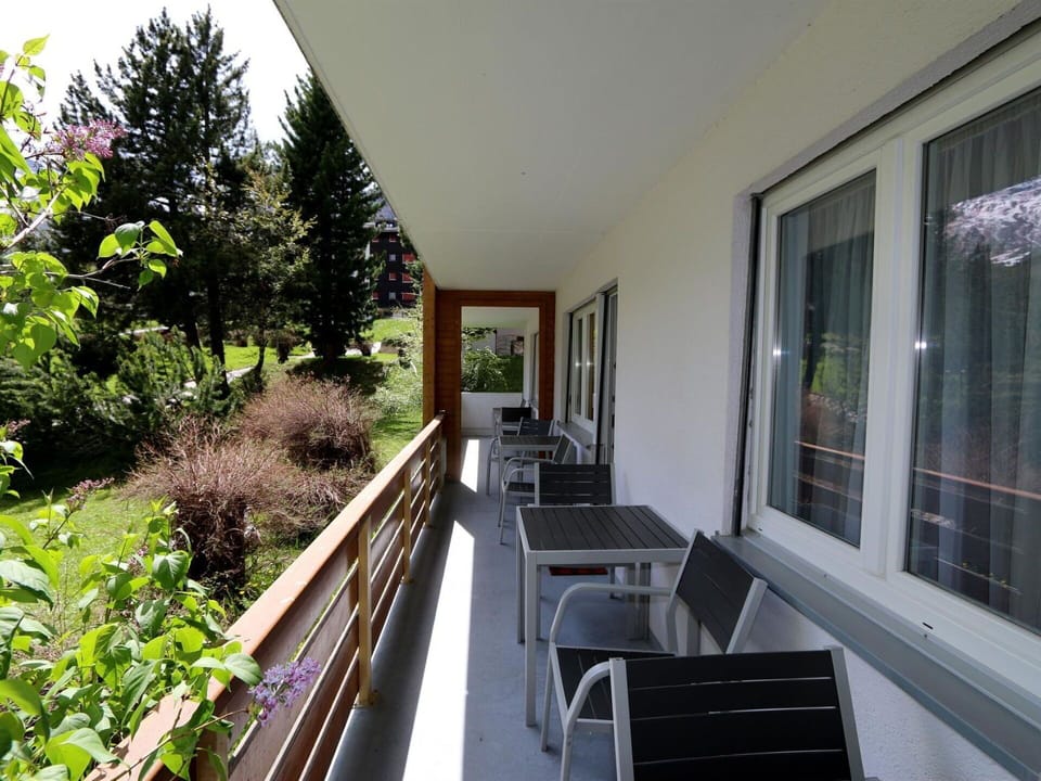 Plant, Property, Building, Houseplant, Interior Design, Window, Tree, Shade, Wood, Door