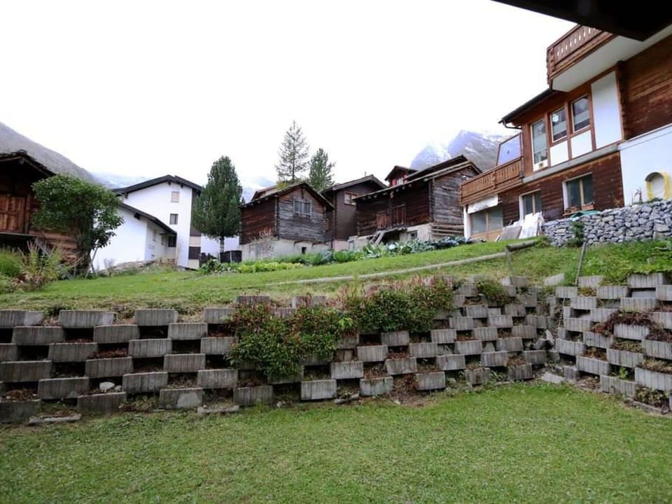 Plant, Sky, Building, Wood, Grass, Land Lot, Window, Flooring, Residential Area, Brick