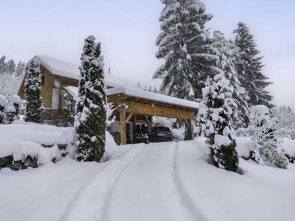 Snow, Tree, Winter, Branch, House, Home, Cottage, Freezing, Geological Phenomenon, Larch