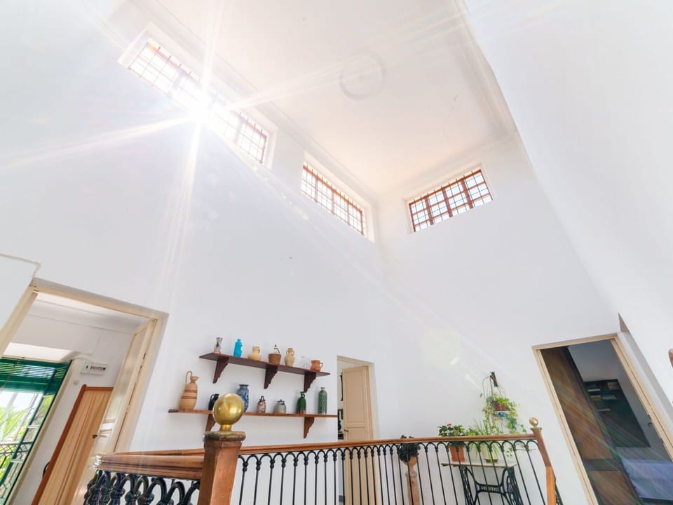 Property, Window, Plant, Wood, Building, Interior Design, Architecture, Houseplant, Floor