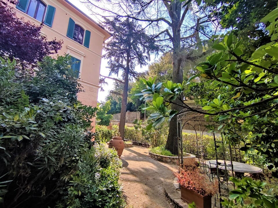 Plant, Building, Window, Road Surface, Land Lot, Natural Landscape, Urban Design, Tree, Sky, House