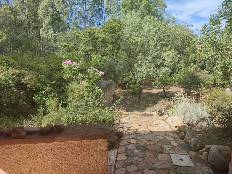 Plant, Plant Community, Natural Landscape, Land Lot, Sky, Bedrock, Grass, Tree, Groundcover, Landscape