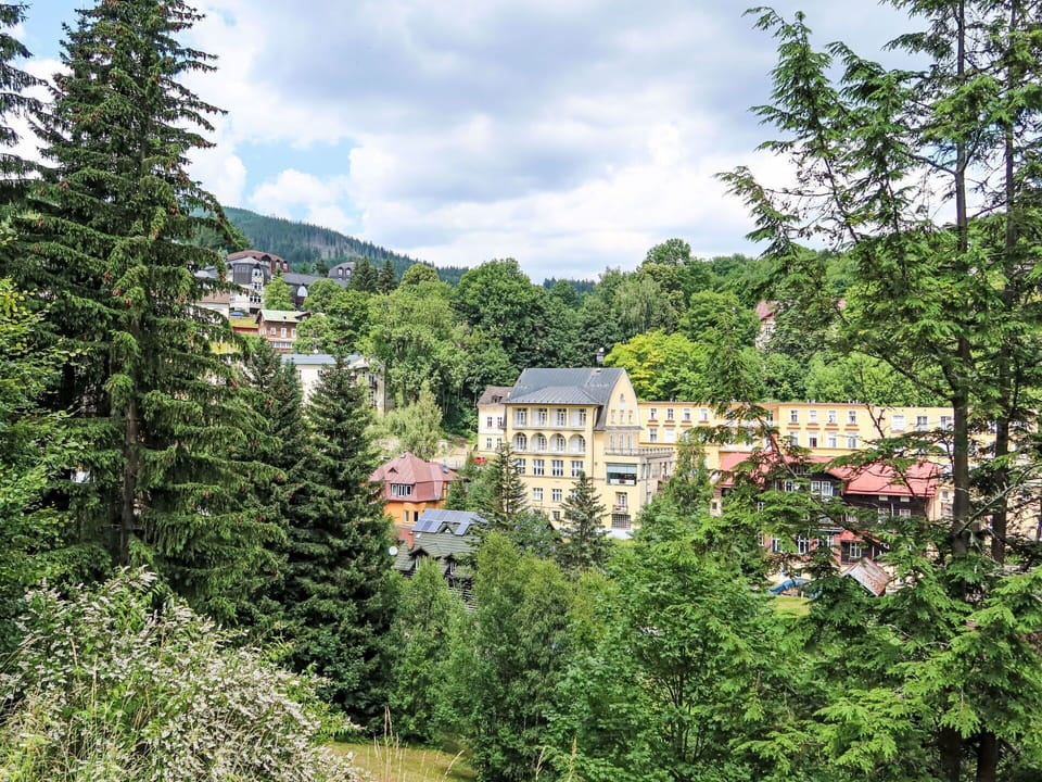 Tree, Shrub, Residential Area, Larch, Hill Station, Suburb, Mountain Village, Evergreen