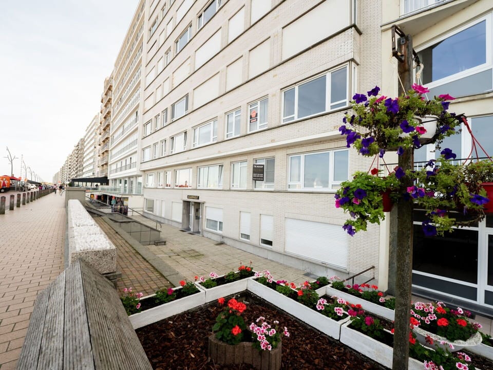 Building, Flower, Daytime, Plant, Window, Architecture, Urban Design, Neighbourhood, Sky, Real Estate