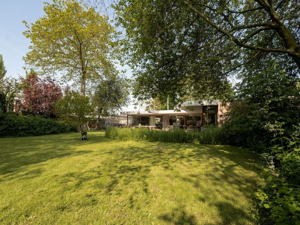 Plant, Plant Community, Building, Natural Landscape, Tree, Land Lot, Sunlight, Cottage, Shade, Shrub