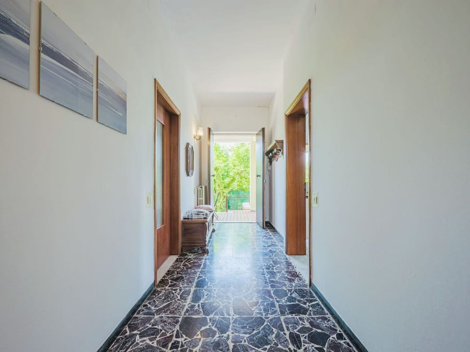 Building, Plant, Hall, Door, Houseplant, Wood, Flooring, Window, House