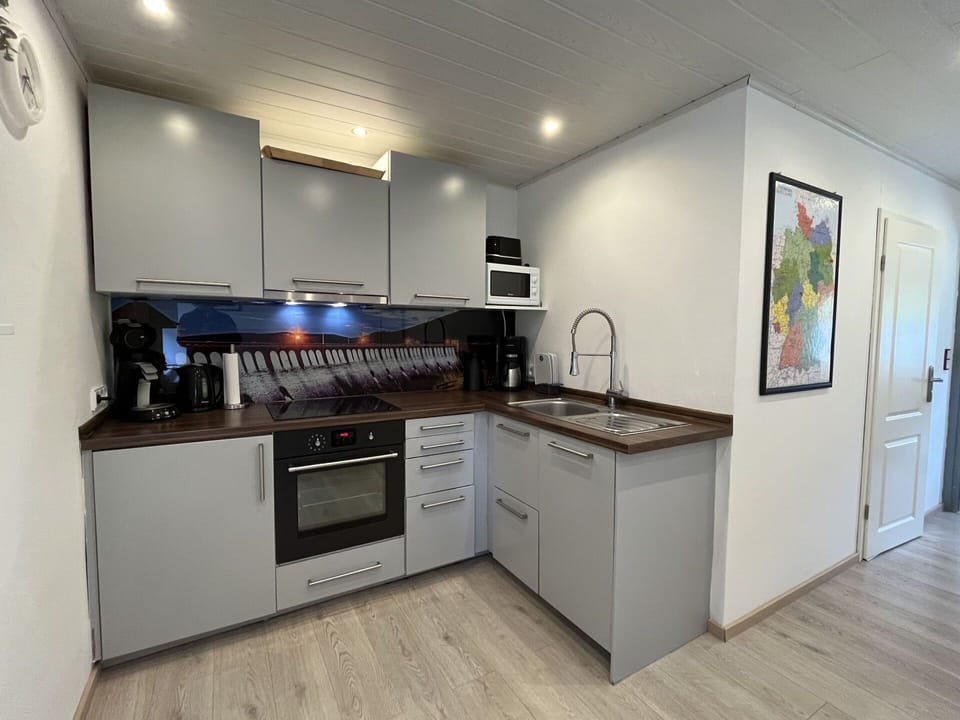 Cabinetry, Sink, Tap, Countertop, Plumbing Fixture, Kitchen Stove, Kitchen, Kitchen Sink, Wood, Home Appliance