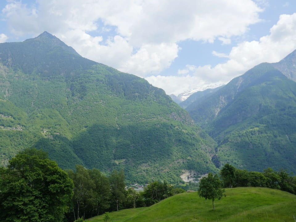 Cloud, Plant, Sky, Building, Daytime, Property, Window, Tree, House, Land Lot