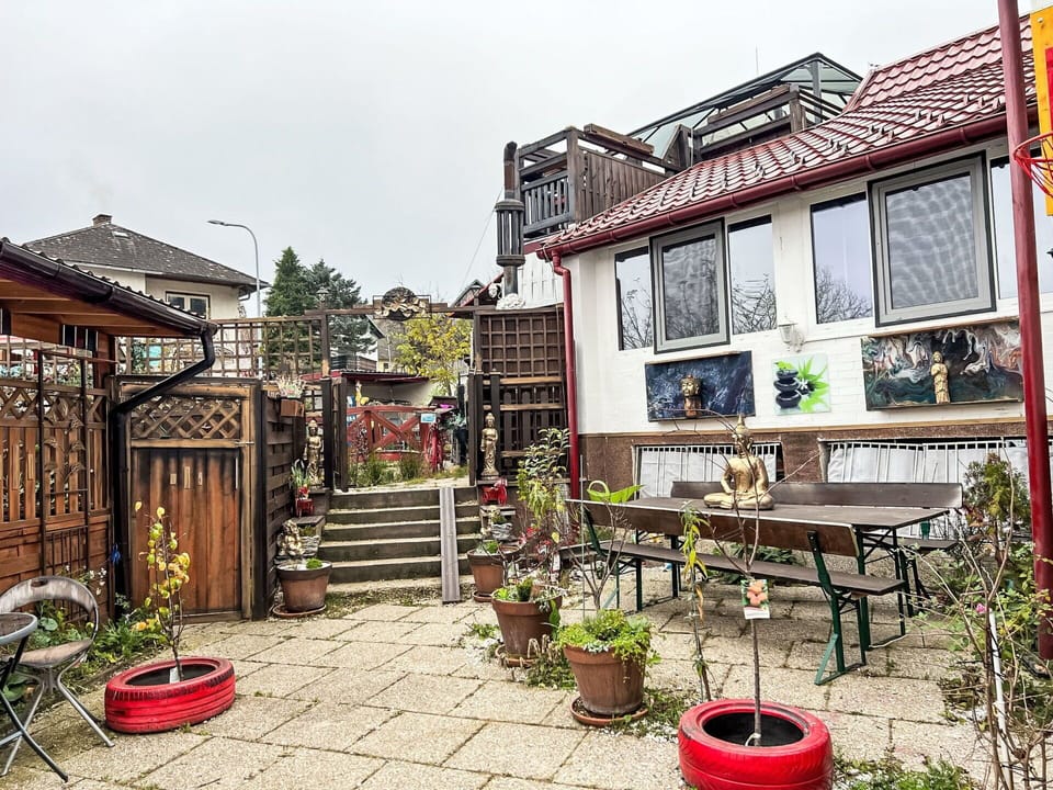 Plant, Property, Building, Flowerpot, Window, Houseplant, Sky, Leisure, House, Outdoor Furniture