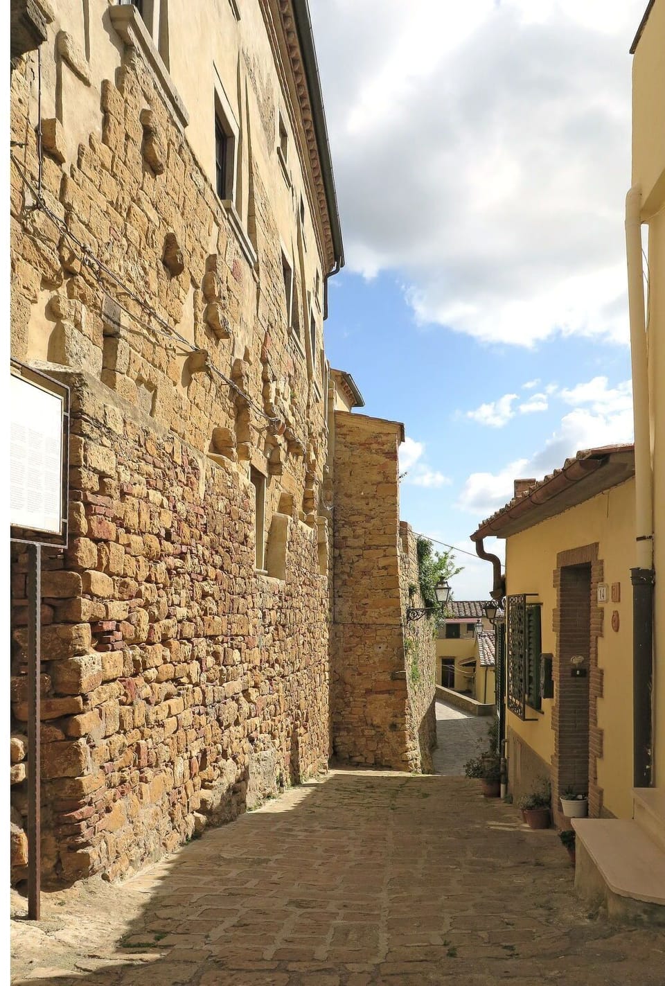 Flower, Water, Plant, Sky, Building, Swimming Pool, Tree, Body Of Water, Petal, Window