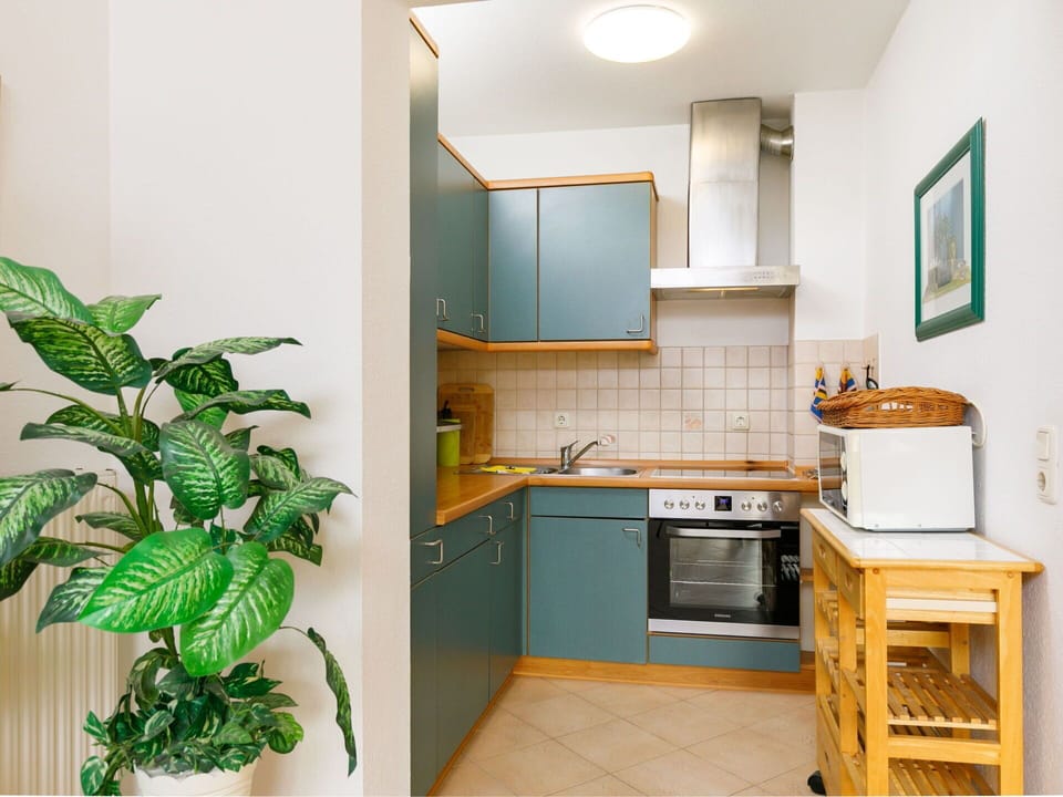 Property, Cabinetry, Plant, Countertop, Houseplant, Kitchen, Kitchen Stove, Sink, Flooring, Floor