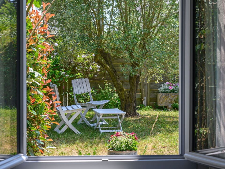 Plant, Furniture, Flower, Plant Community, Chair, Window, Shade, Outdoor Furniture, Architecture, Vegetation