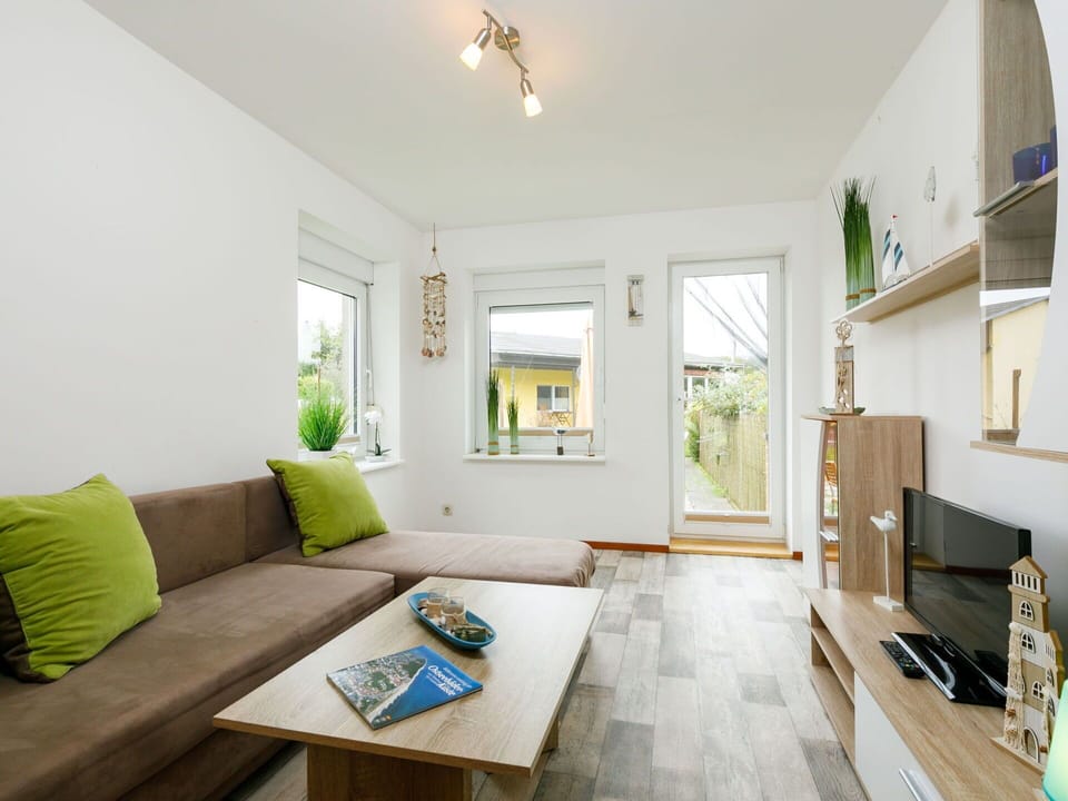 Furniture, Property, Table, Picture Frame, Green, Couch, Plant, Azure, Wood, Window