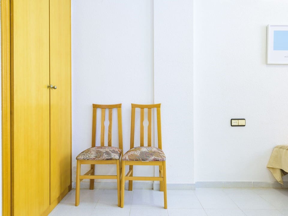 Flower, Plant, Furniture, Property, Window, Building, Green, Chair, Table, Sky