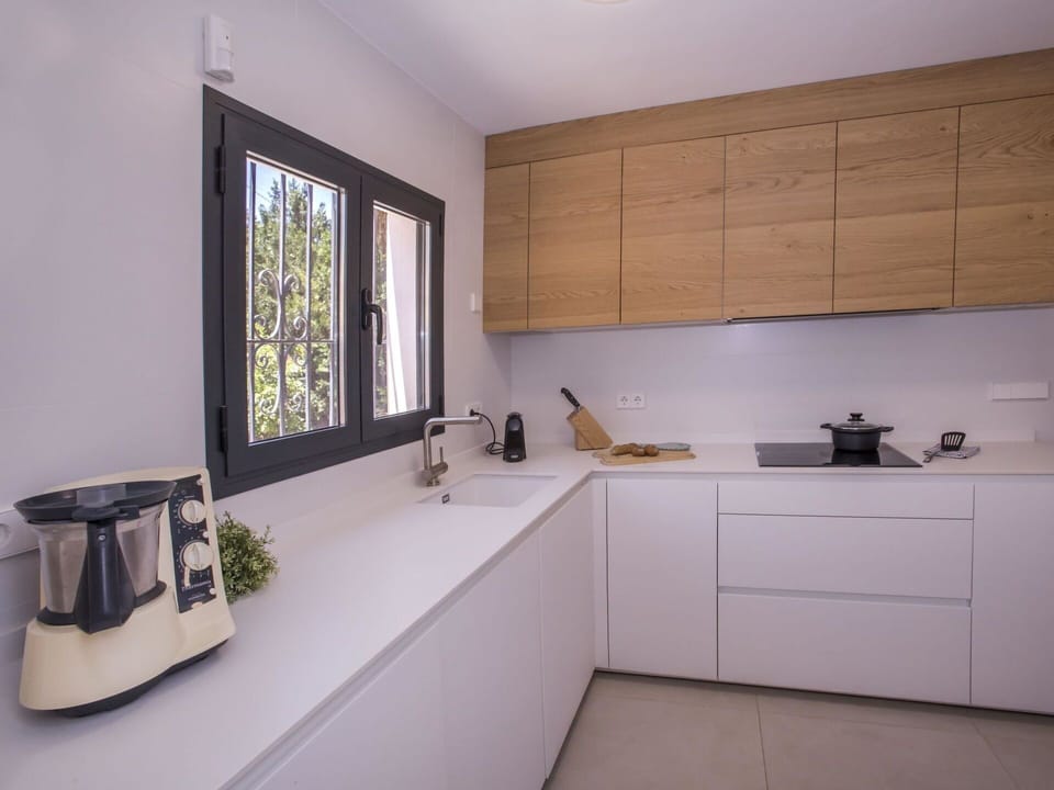 Flower, Plant, Furniture, Property, Window, Building, Green, Chair, Table, Sky