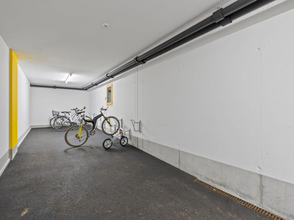 Bicycle, Wheel, Bicycle Wheel, Vehicle, Flooring, Road