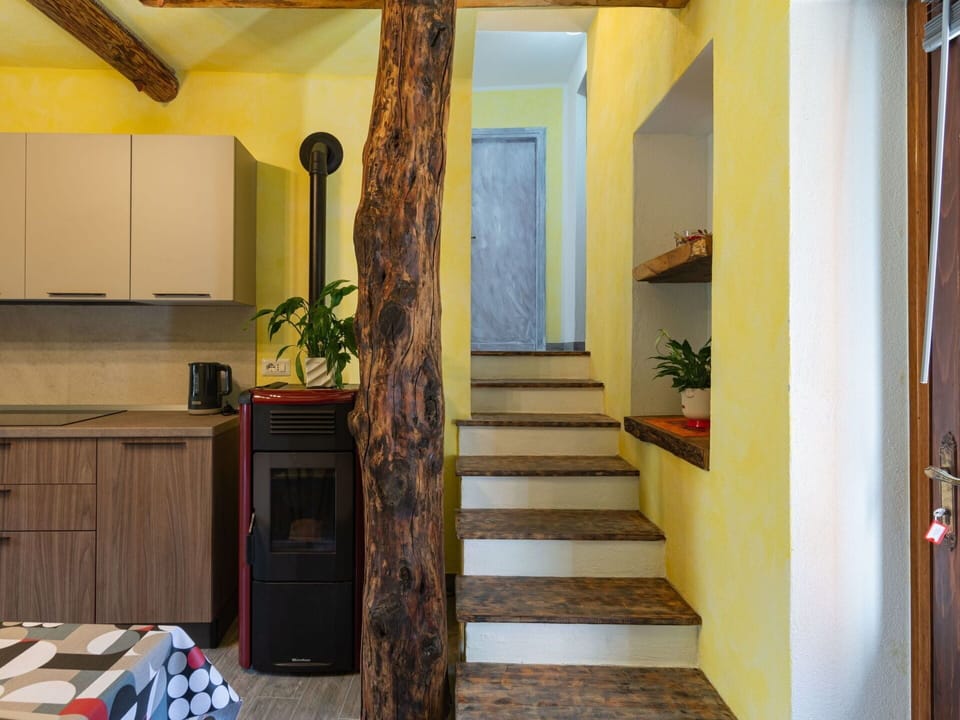Property, Building, Cabinetry, Plant, Wood, Interior Design, Houseplant, Stairs, Floor, Wall