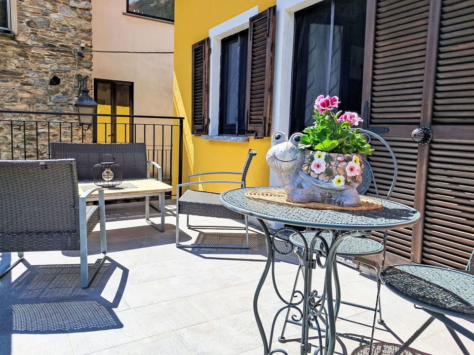 Plant, Flower, Table, Property, Window, Furniture, Flowerpot, Building, Outdoor Table, Outdoor Furniture