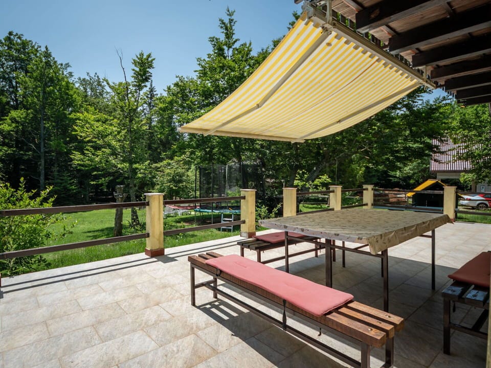 Plant, Property, Table, Tree, Shade, Outdoor Furniture, Outdoor Bench, Wood, Sky, Grass