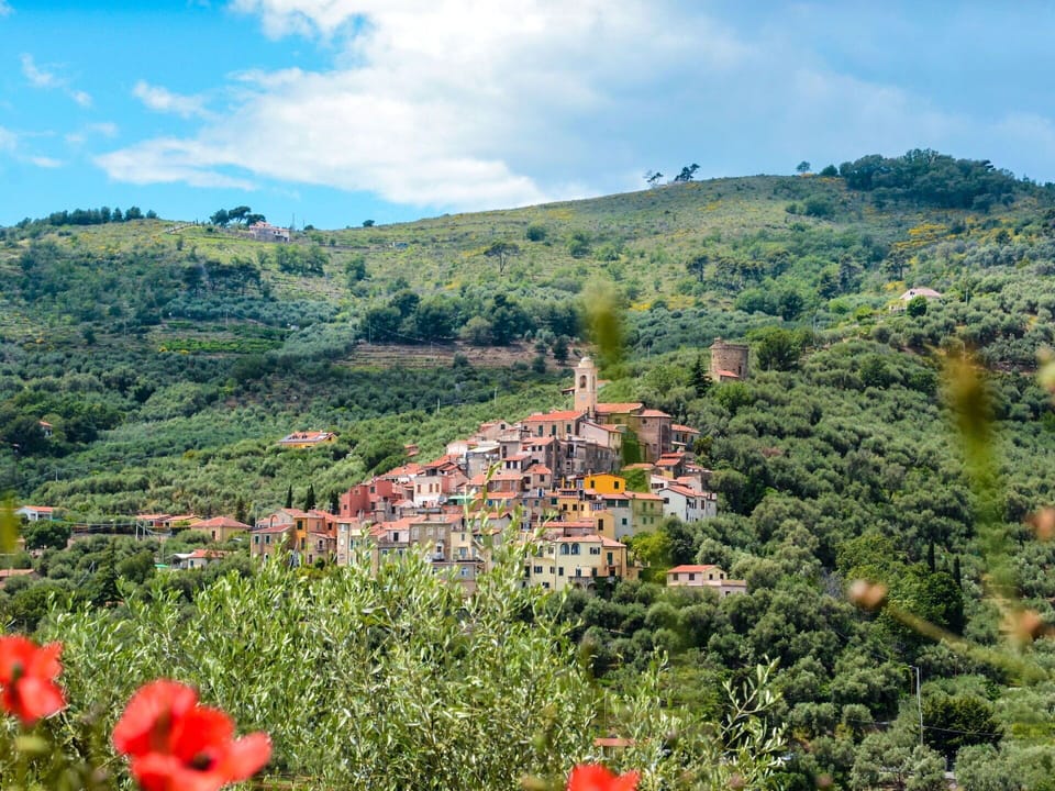 Cloud, Sky, Plant, Flower, Plant Community, Mountain, Nature, Natural Landscape, Building, Biome