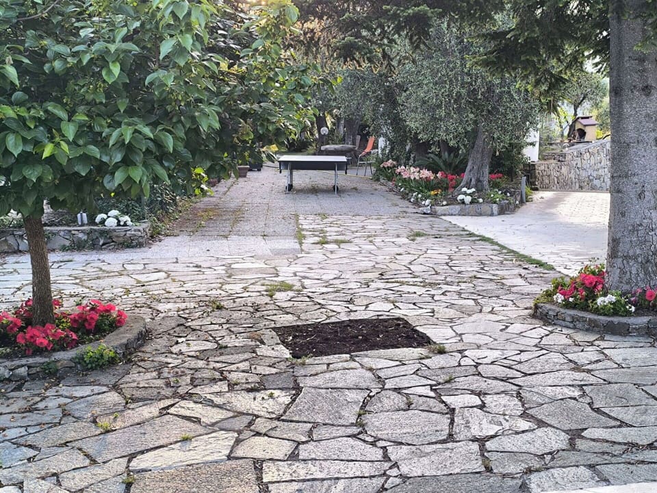 Road Surface, Cobblestone, Flagstone, Sidewalk, Walkway, Flooring, Groundcover, Garden, Driveway, Shade