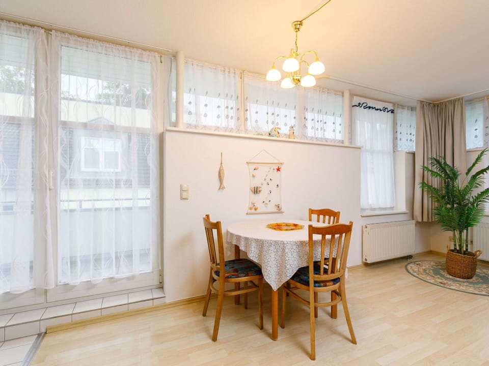 Table, Furniture, Plant, Window, Chair, Flowerpot, Wood, Houseplant, Interior Design, Flooring