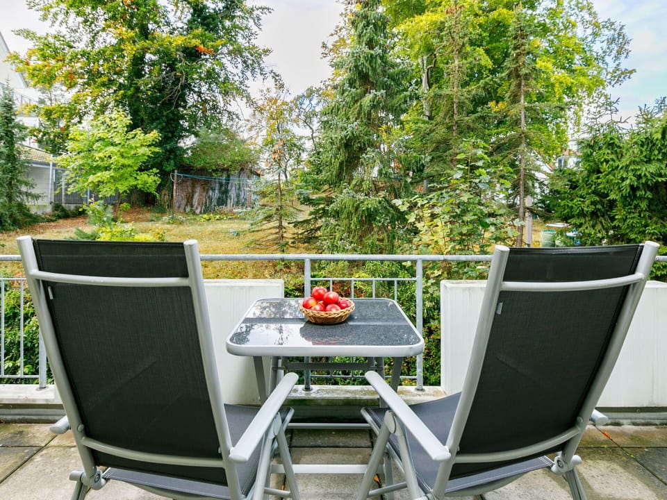 Plant, Furniture, Property, Chair, Table, Green, Leaf, Outdoor Furniture, Tree, Outdoor Table