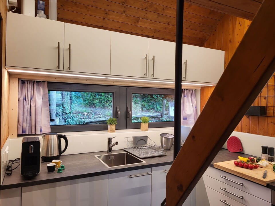 Kitchen Sink, Cabinetry, Sink, Countertop, Tap, Building, Window, Plumbing Fixture, Kitchen, Interior Design