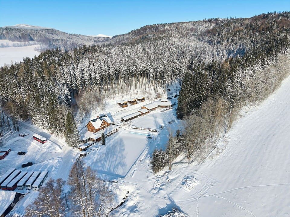 Tree, Snow, Winter, Freezing, Geological Phenomenon, Hill Station, Slope, Larch, Cottage, Village
