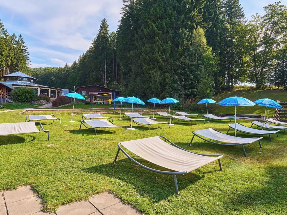 Outdoor Furniture, Umbrella, Leisure, Shade, Garden, Outdoor Table, Park, Sunlounger, Resort, Larch