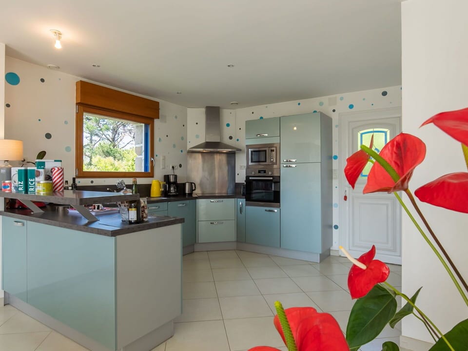 Cabinetry, Countertop, Property, Furniture, Building, Flower, Kitchen Appliance, Plant, Kitchen Stove, Home Appliance