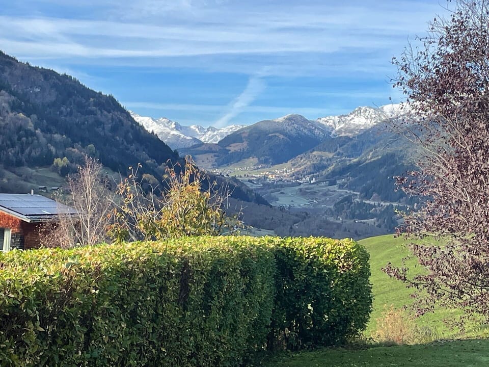 Water, Sky, Property, Plant, Tree, Swimming Pool, Azure, Shade, Arecales, Leisure