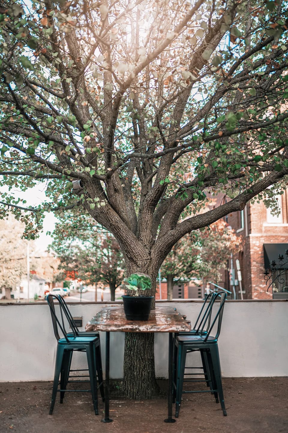 Courtyard dining 
