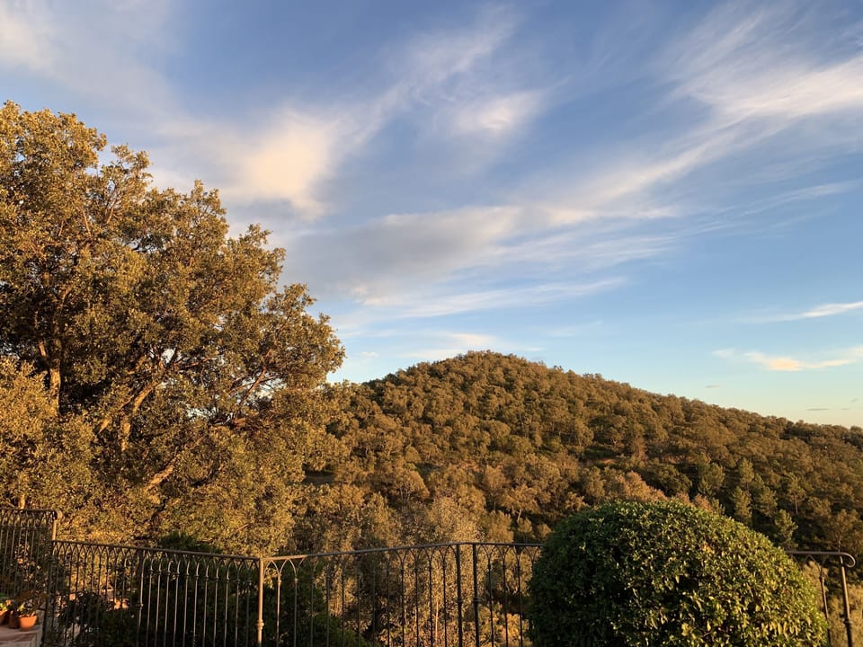 View from property