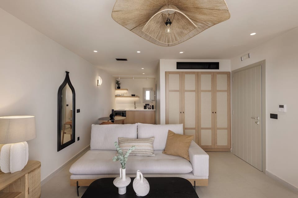 Living room and sofa bed