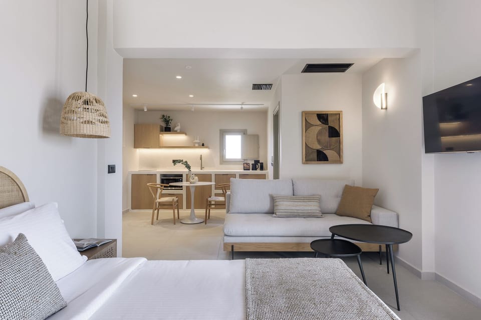 Bedroom, living room and TV