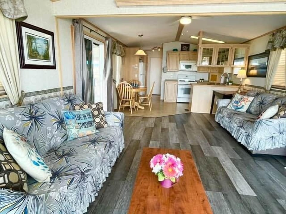 Living room with 2 pullout sofa bed
