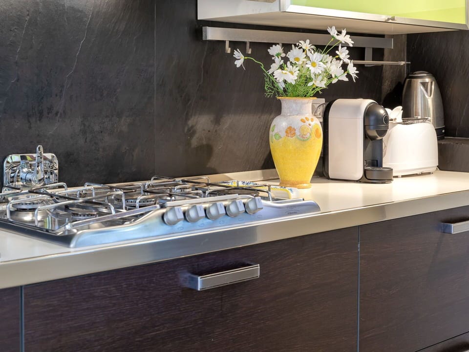 Kitchen, Kitchen Appliance, Countertop, Major Appliance, Kitchen Stove, Home Appliance, Stove, Interior Design, Gas Stove, Cabinetry