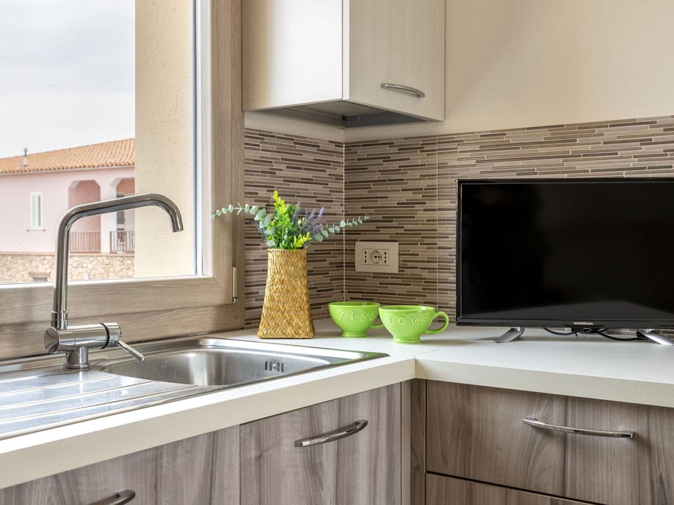 Countertop, Kitchen Sink, Tap, Sink, Property, Cabinetry, Plumbing Fixture, Building, Plant, Kitchen