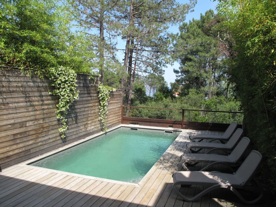 Water, Plant, Swimming Pool, Tree, Sky, Grass, Real Estate, Leisure, Composite Material, Shade