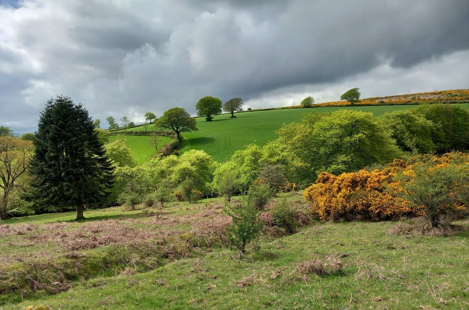 Winsford Hill 10 minutes from Draydon Cottage, by car.