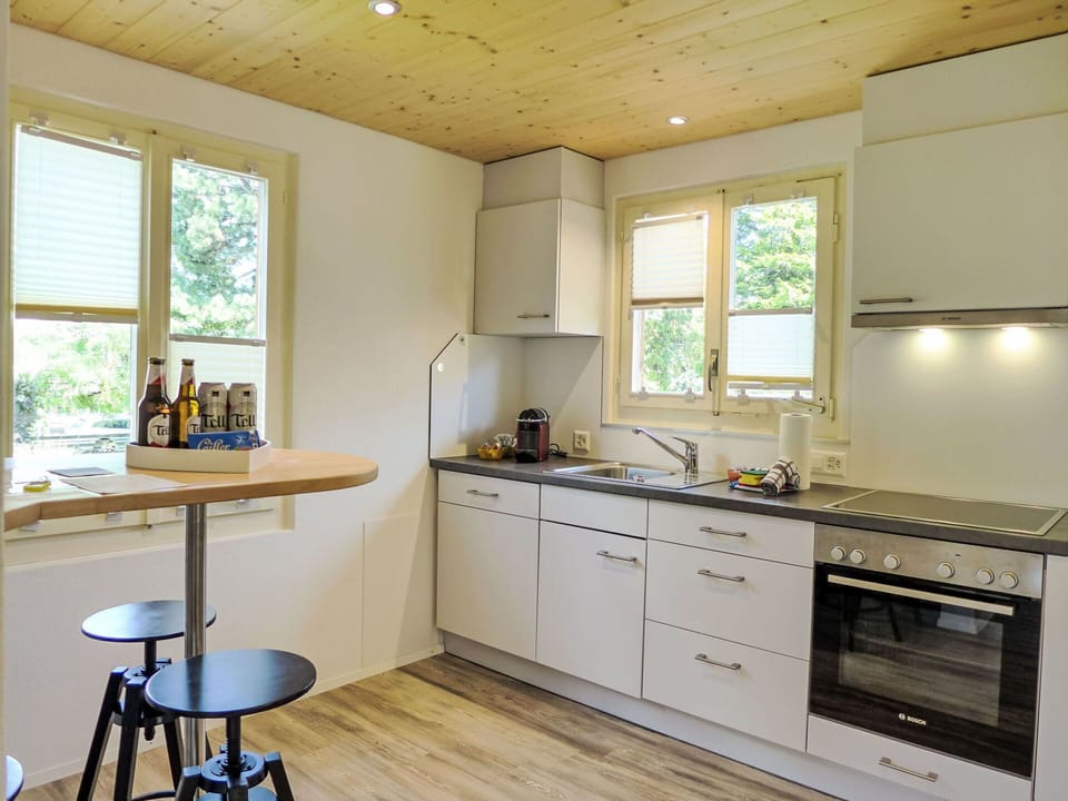 Cabinetry, Countertop, Furniture, Window, Sink, Wood, Drawer, Building, Kitchen, Interior Design