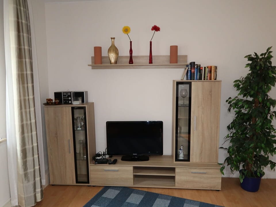 Plant, Property, Wood, Shelving, Interior Design, Flowerpot, Shelf, Living Room, Floor, Houseplant