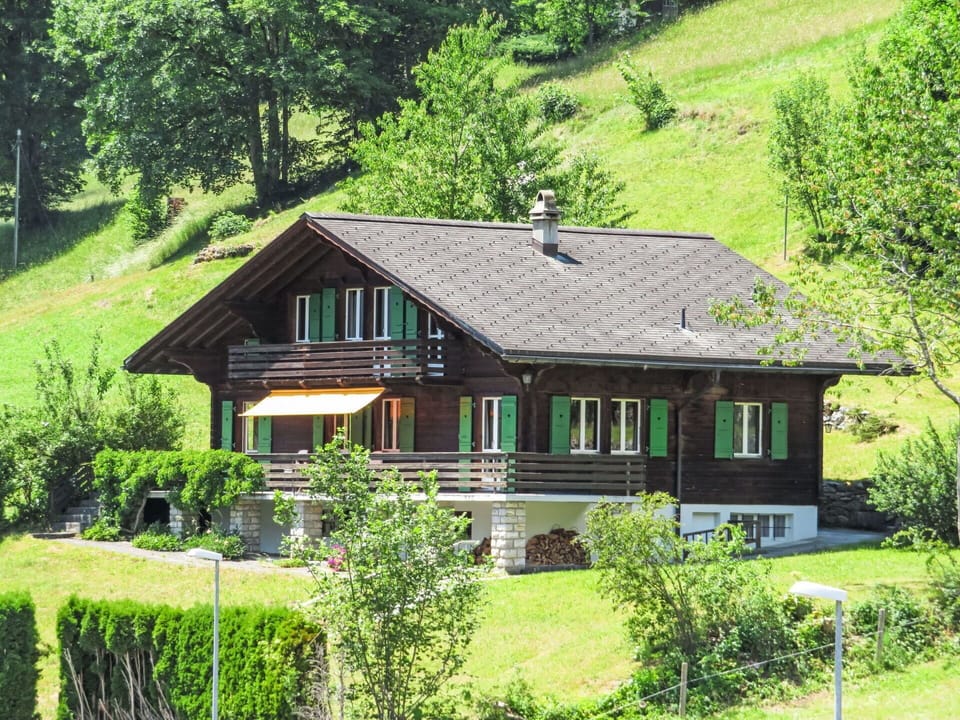 Plant, Building, Window, Green, Tree, House, Natural Landscape, Land Lot, Wood, Cottage