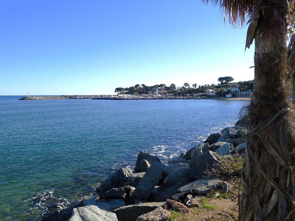 Water, Sky, Plant, Tree, Coastal And Oceanic Landforms, Terrain, Wood, Lake, Natural Landscape, Horizon