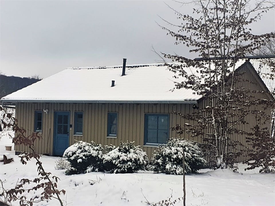Building, Plant, Property, Window, Snow, Sky, Branch, Twig, House, Tree