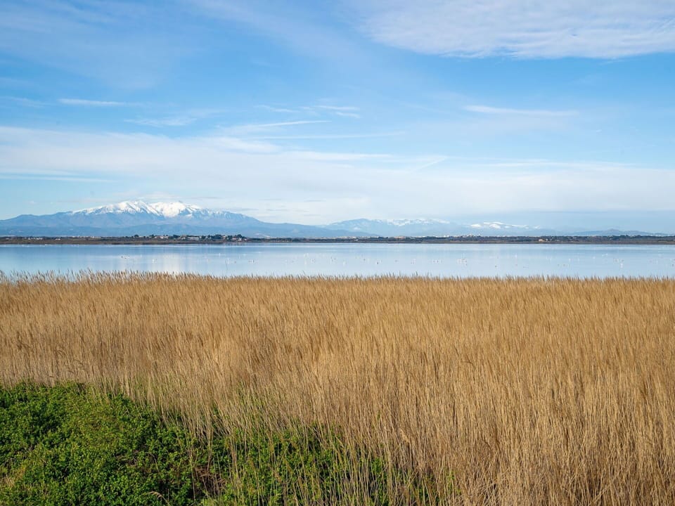 Water, Cloud, Sky, Water Resources, Plant, Natural Landscape, Lake, Tree, Coastal And Oceanic Landforms, Grass