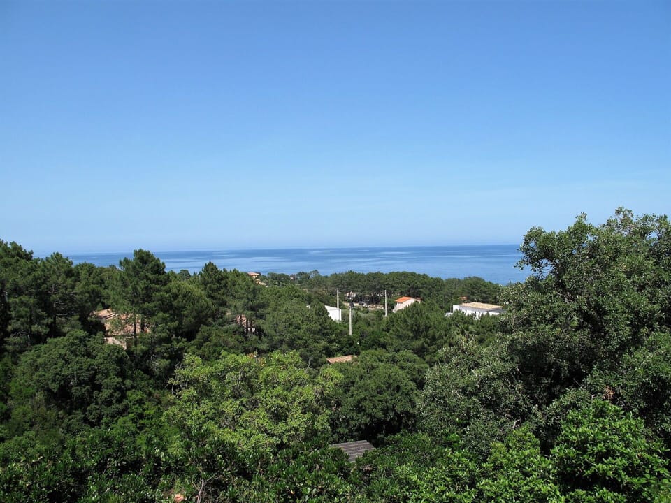 Sky, Plant Community, Natural Landscape, Water, Horizon, Landscape, Plant, Tree, Shrub, Hill
