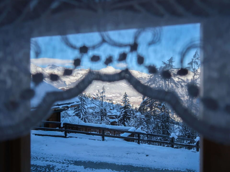 Water, Window, World, Plant, Branch, Snow, Twig, Cloud, Tree, Wood
